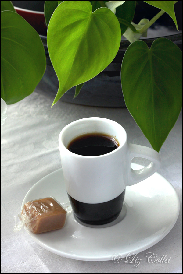 Espresso und Toffee mit Philodendron © Liz Collet